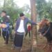 Peringati Idul Adha 1446 H, Pemkab Bogor Distribusikan Hewan Kurban ke Lembaga Keagamaan