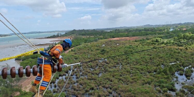 Wujud Kontribusi ke Negara, PLN Setor Rp65,59 Triliun Lewat Dividen, Pajak, dan PNBP