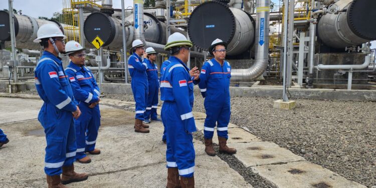 47 PLTS Diresmikan Presiden, 5.383 Rumah Tangga di Wilayah 3T Kini Nikmati Listrik Bersih