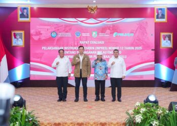 Jalankan Inpres 12/2025 untuk Tangani Masalah di Pulau Baai dan Enggano, Wamen Ossy: Butuh Tata Ruang yang Solutif