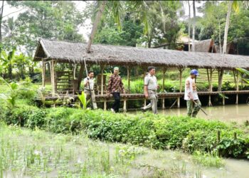 Tingkatkan Perekonomian Masyarakat, Kampung Reforma Agraria Desa Bandung Kembangkan Pembibitan dan Budidaya Ikan