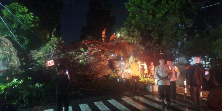 Pohon Besar Roboh di Depan Gereja Katolik Bogor, Jalan Kapten Muslihat Lumpuh Total