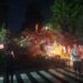 Pohon Besar Roboh di Depan Gereja Katolik Bogor, Jalan Kapten Muslihat Lumpuh Total