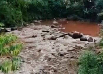 Foto: Tangkapan layar vidio viral