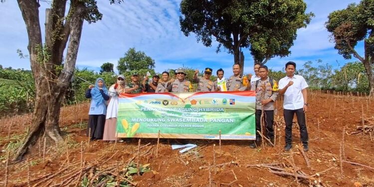 Polri Peduli Pangan, Polsek Citeureup Tanam Jagung Hibrida di Lahan 5.000 Meter