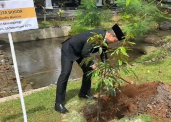 Pemkot Bogor Gelar Tabur Bunga, Tanam Pohon: Usul Tokoh Jadi Pahlawan Nasional