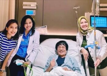 Kak Seto Alami Stroke Ringan, Begini Penjelasan dan Bahayanya bagi Kesehatan Otak