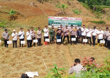 Dukung Asta Cita Pangan, Bojong Koneng Siap Produksi Jagung di Lahan Luas