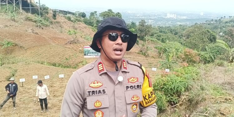 Kapolsek Babakan Madang Pimpin Penanaman Jagung Serentak untuk Swasembada Pangan