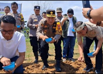 Dukung Asta Cita: Polsek Citeureup Tanam Jagung Hibrida untuk Ketahanan Pangan Nasional di Lahan 1 Hektare