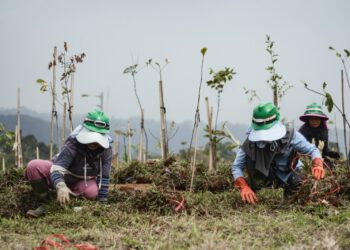 Langkah Nyata Investasi Hijau EIGER Adventure Land: Transformasi Konflik Agraria menjadi Ekowisata Bermakna