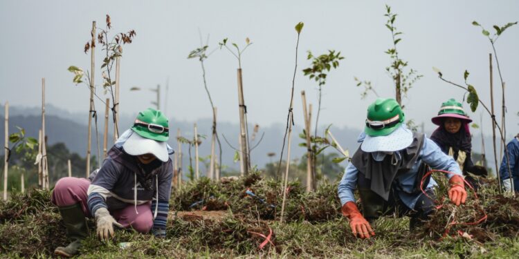 Langkah Nyata Investasi Hijau EIGER Adventure Land: Transformasi Konflik Agraria menjadi Ekowisata Bermakna