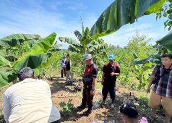 Pemcam Cariu Hijaukan Aset Pemda Bogor