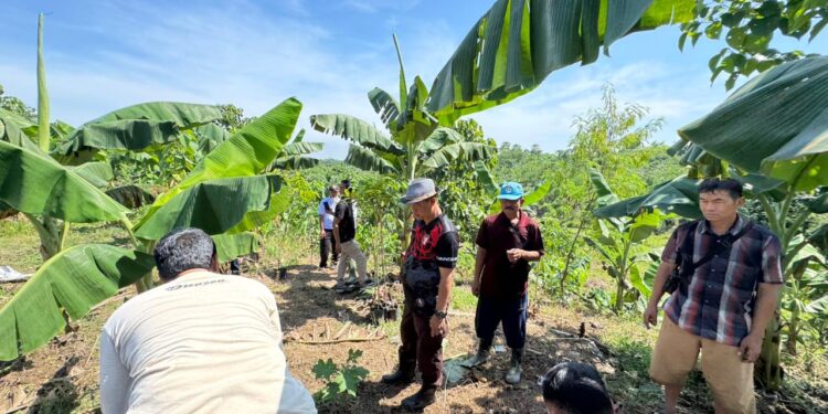 Pemcam Cariu Hijaukan Aset Pemda Bogor