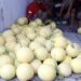 Desa Soso lahirkan petani muda berkat reforma agraria