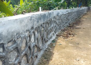 KP2C Apresiasi Kesigapan BBWSCC Bangun Tanggul