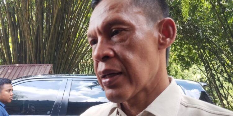Perkuat Kawasan Rawan Longsor, Pemkab Bogor Bakal Perluas Penanaman Bambu