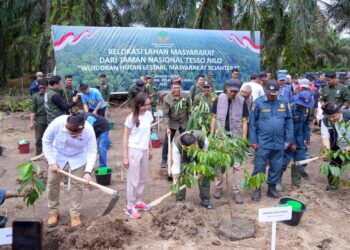 Upaya Kembalikan Fungsi Hutan, Pemerintah Mulai Relokasi Masyarakat dari Taman Nasional Tesso Nilo