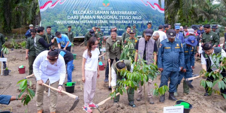 Upaya Kembalikan Fungsi Hutan, Pemerintah Mulai Relokasi Masyarakat dari Taman Nasional Tesso Nilo