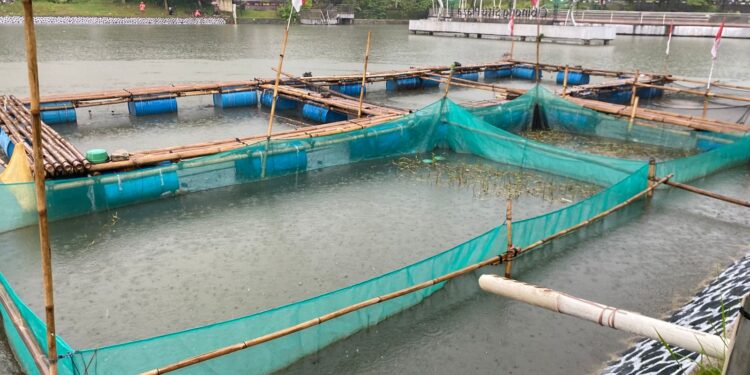 Hadapi Cuaca Ekstrim, Diskanak Kabupaten Bogor Imbau Peternak Tingkatkan Kewaspadaan