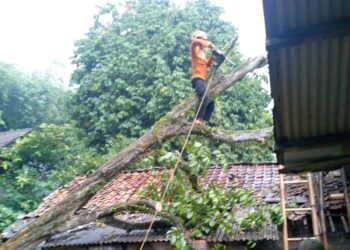 BPBD Catat 50 Kejadian Bencana Dalam Tiga Hari, Didominasi Angin Kencang