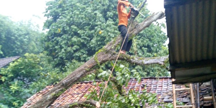 BPBD Catat 50 Kejadian Bencana Dalam Tiga Hari, Didominasi Angin Kencang
