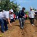 Dukung Program Ketahanan Pangan, PMI Tanam Buah dan Sayuran
