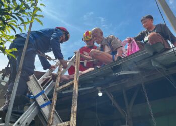 Tak Bisa Turun Pasca Perbaiki Genteng Rumah, Pria Lansia Dievakuasi Damkar