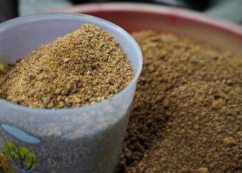 Lewat Pendampingan Usaha Gula Semut, Reforma Agraria Bangkitkan Kemandirian Ekonomi Desa Hargorejo di Kulon Progo