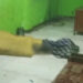 Geger!!! Jasad Pria Tanpa Identitas Ditemukan di Area Gedung KNPI Kabupaten Bogor