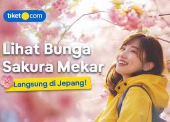Sakura Vibes Nggak Cuma di Jepang! Ini 5 Destinasi Asia Buat Nikmatin Musim Semi
