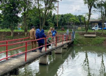 Investigasi Kematian Ikan, DLH Kabupaten Bogor Uji Lab Sampel Air Situ Citongtut