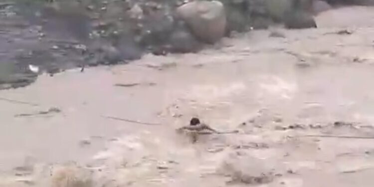 penyelamatan 3 pemuda