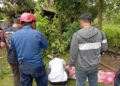 Petugas Damkar Kabupaten Bogor saat mengevakuasi korban tewas tersengat listrik di atas pohon di Bojonggede.