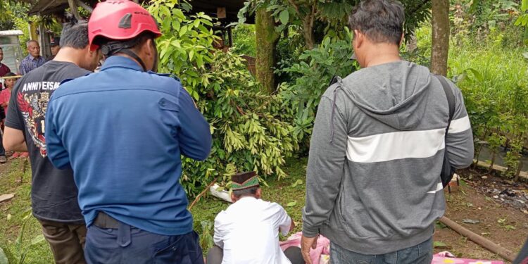 Petugas Damkar Kabupaten Bogor saat mengevakuasi korban tewas tersengat listrik di atas pohon di Bojonggede.