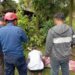 Petugas Damkar Kabupaten Bogor saat mengevakuasi korban tewas tersengat listrik di atas pohon di Bojonggede.