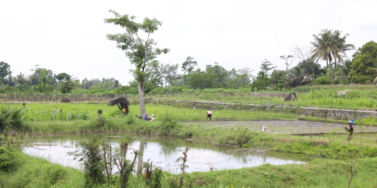 Masyarakat Desa Soso Blitar bersama pihak PT Kismo Handayani dan ATR/BPN merayakan keberhasilan redistribusi tanah
