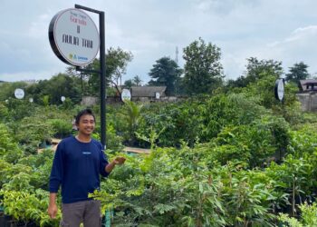 Pasar Petani Garuda Jadi Magnet Baru Pencinta Tanaman di Cibinong