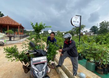 Kualitas Jempolan Harga Miring, Pasar Petani Garuda Cibinong Jadi Incaran Pembeli Luar Daerah