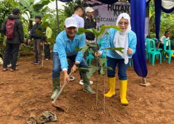 Target Jadi Paru-Paru Kota, 850 Pohon Ditanam di Hutan Kota Pakansari Cibinong
