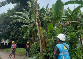 PLN UP3 Gunung Putri Gempur Penyulang Barokah Jonggol Lewat Program KAMISIGAP