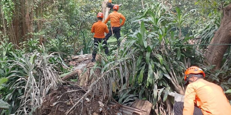 Kondisi rumah warga di Desa Citeureup yang hancur tertimpa pohon besar akibat tanah longsor