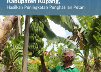 Reforma Agraria Ubah Pola Pikir Warga Desa Baumata di Kabupaten Kupang, Hasilkan Peningkatan Penghasilan Petani