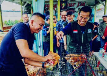 Dukung Program MBG, Wawalkot Bogor Bagikan 80 Ayam Petelur ke LPM Bogor Utara