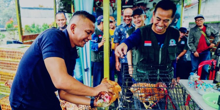 Dukung Program MBG, Wawalkot Bogor Bagikan 80 Ayam Petelur ke LPM Bogor Utara