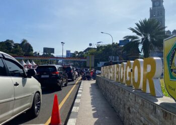 Wisatawan menikmati pemandangan alam di kawasan Puncak Bogor yang menjadi destinasi utama di Jawa Barat.