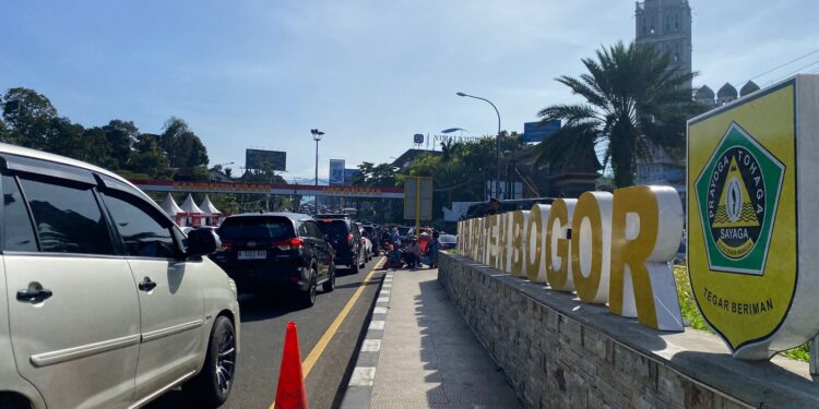 Wisatawan menikmati pemandangan alam di kawasan Puncak Bogor yang menjadi destinasi utama di Jawa Barat.