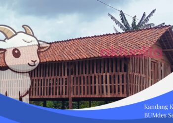 Pasca Diambil Alih Kades, Kandang Kambing tak Sesuai RAB