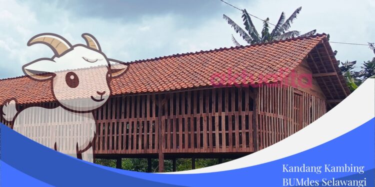 Pasca Diambil Alih Kades, Kandang Kambing tak Sesuai RAB