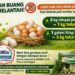 ‎Keren! BUMDes Citaringgul Ubah Limbah Jelantah Jadi Telur Bergizi, Begini Caranya!